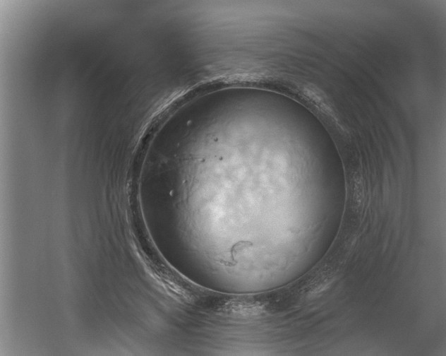 X0000060560491200511070951