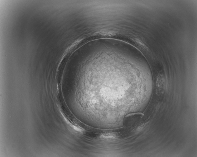 X0000060560492200511070951