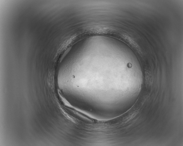 X0000060560493200511070951