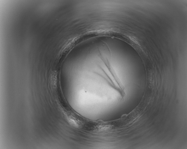 X0000060560495200511070951