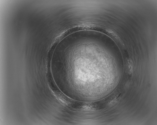 X0000060560496200511070951