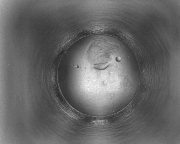 X0000060560499200511070951