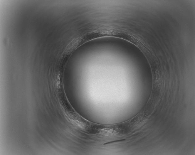 X0000060560502200511070951