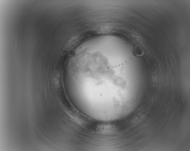 X0000060560503200511070951