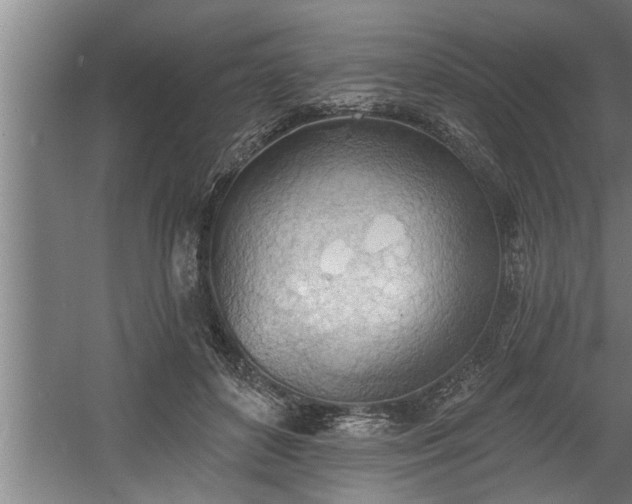 X0000060560504200511070951