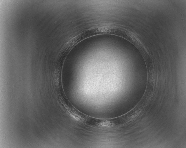 X0000060560505200511070951