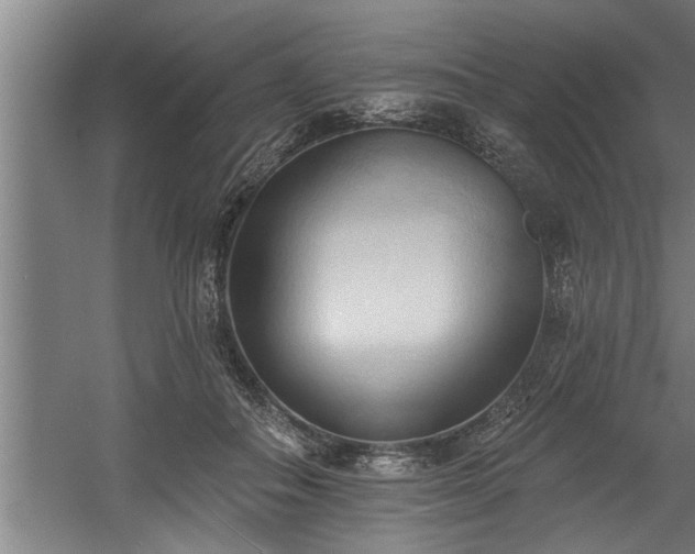 X0000060560506200511070951