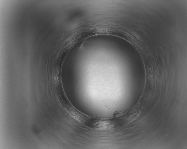 X0000060560507200511070951