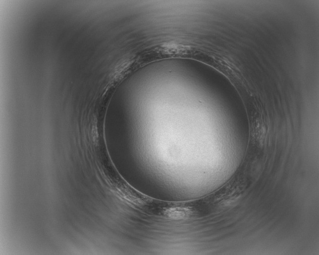 X0000060560508200511070951