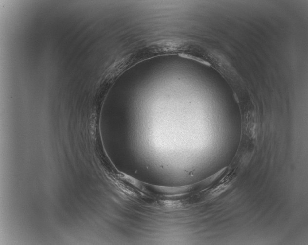 X0000060560509200511070951