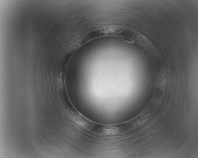 X0000060560510200511070951