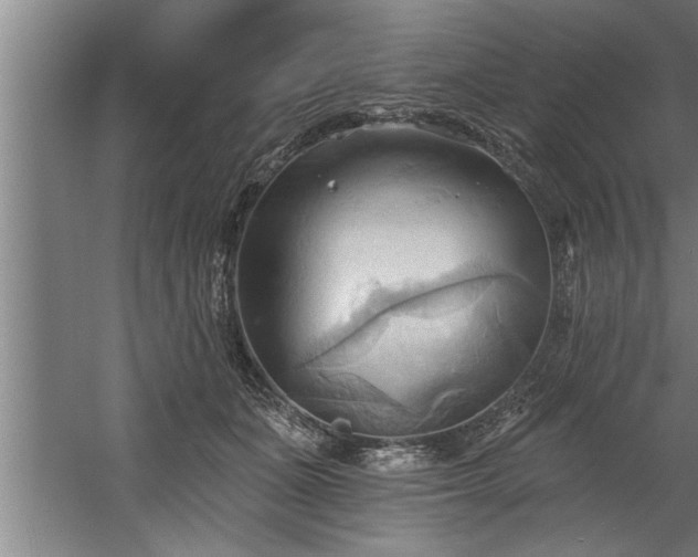 X0000060560511200511070951