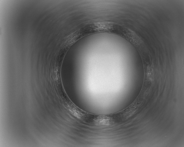 X0000060560514200511070951