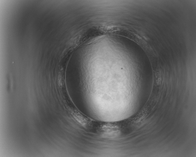 X0000060560515200511070951