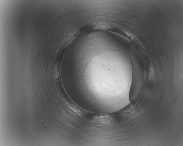 X0000060560517200511070951