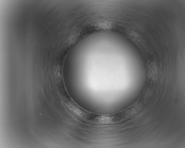 X0000060560518200511070951