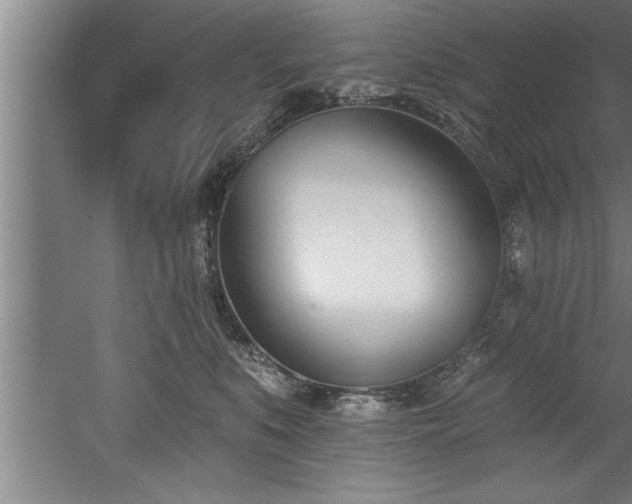 X0000060560519200511070951