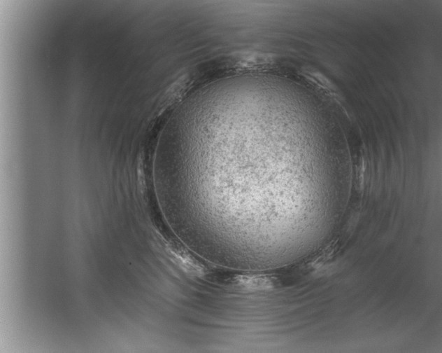 X0000060560520200511070951