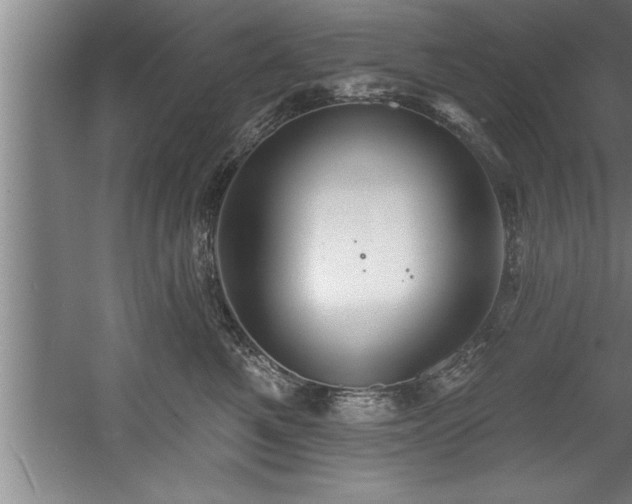 X0000060560521200511070951