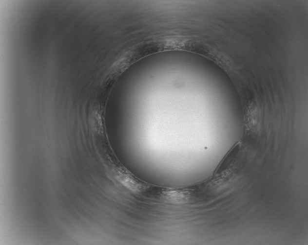 X0000060560522200511070951