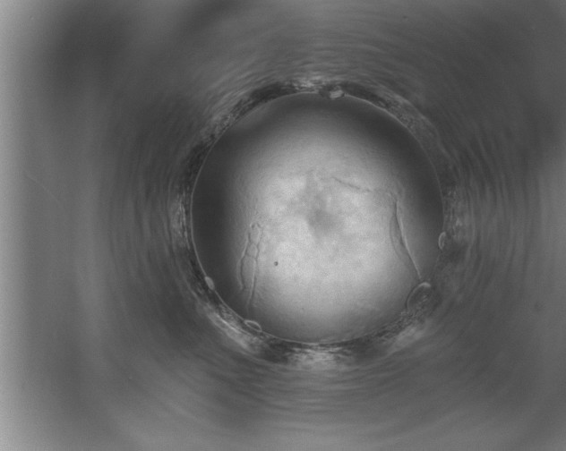 X0000060560523200511070951