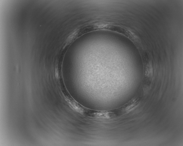 X0000060560524200511070951