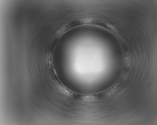 X0000060560525200511070951