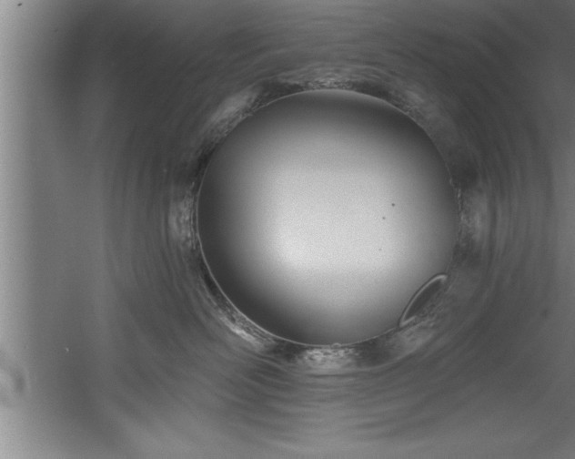 X0000060560526200511070951