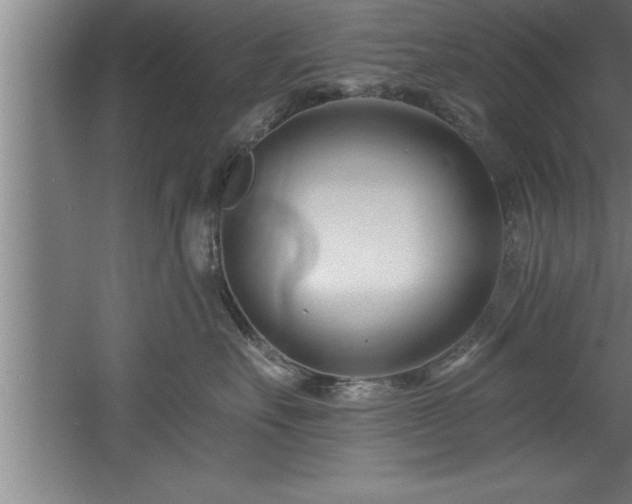 X0000060560527200511070951