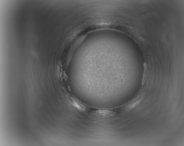 X0000060560528200511070951