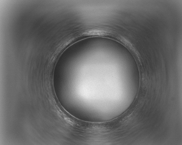 X0000060560529200511070950