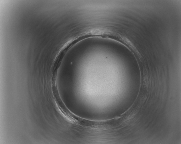 X0000060560530200511070950