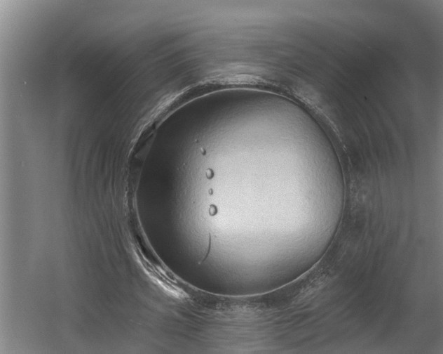 X0000060560533200511070950