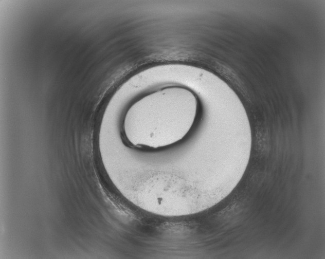 X0000060560534200511070950