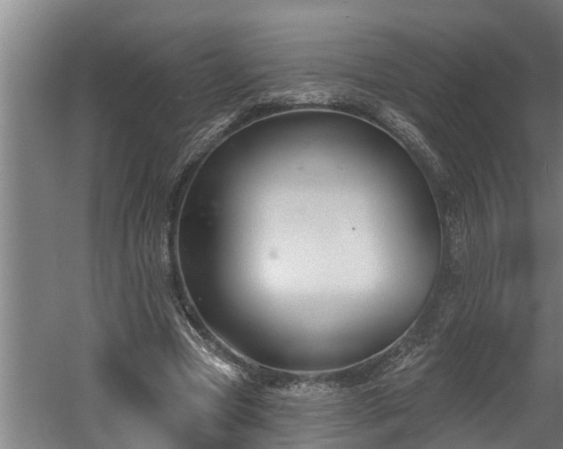 X0000060560537200511070950