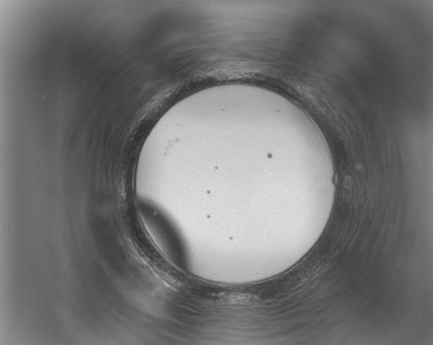 X0000060560539200511070950