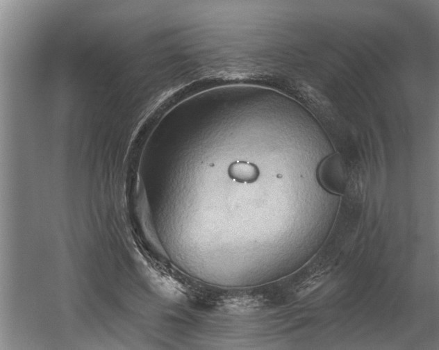 X0000060560540200511070950