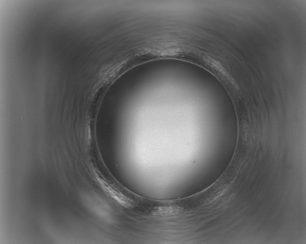 X0000060560541200511070950