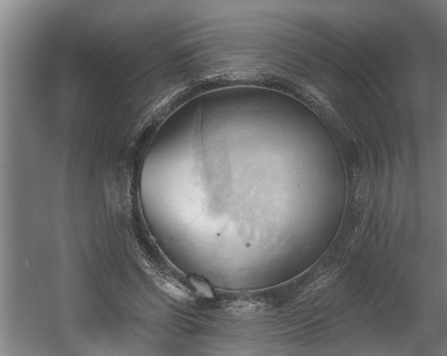 X0000060560542200511070950