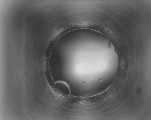 X0000060560544200511070950