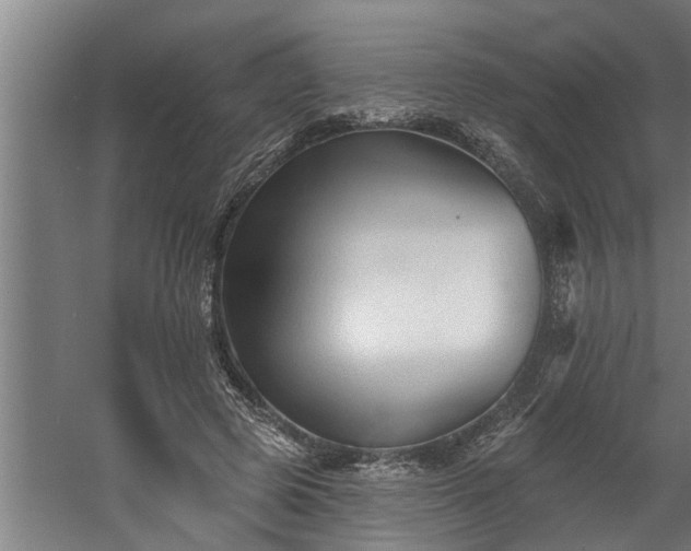 X0000060560545200511070950