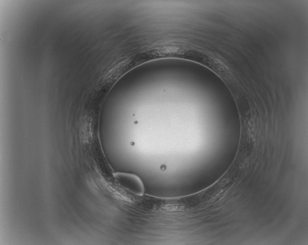 X0000060560546200511070950