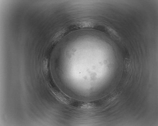 X0000060560550200511070950