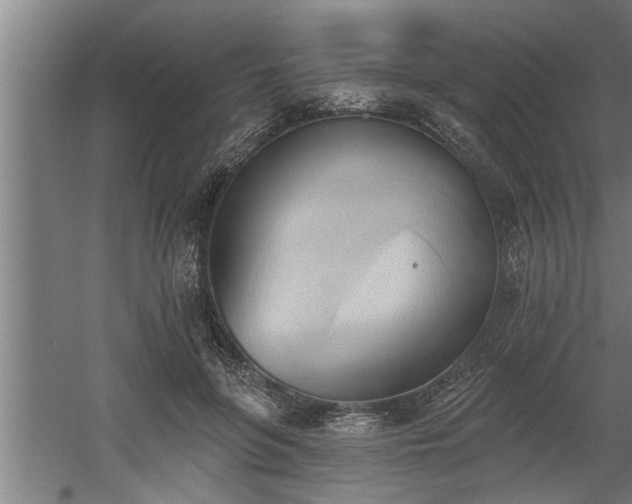 X0000060560551200511070950