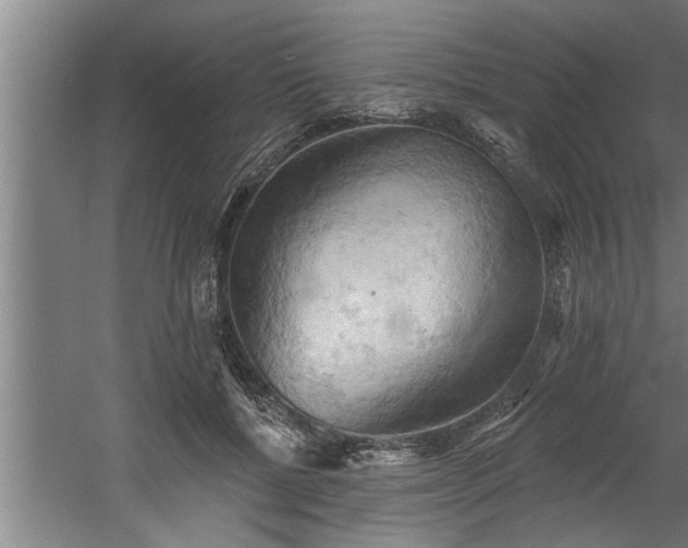 X0000060560552200511070950