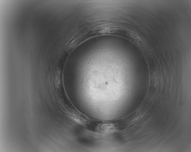 X0000060560554200511070950