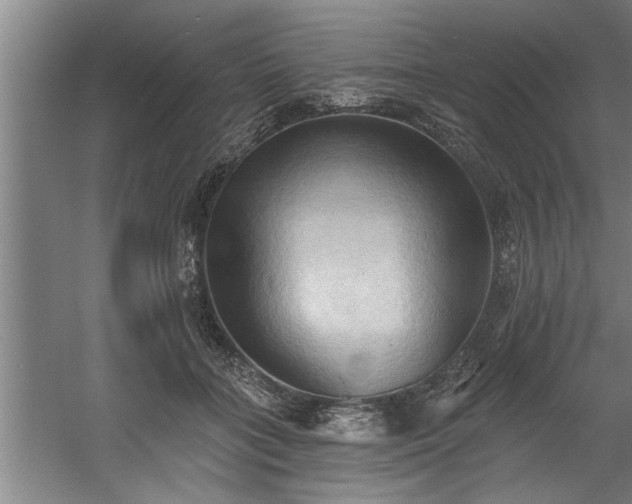 X0000060560555200511070950