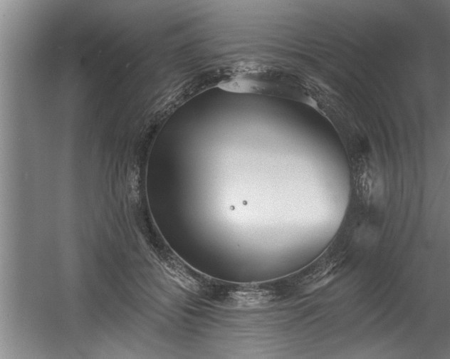 X0000060560556200511070950