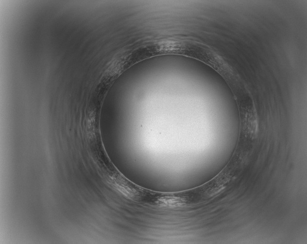 X0000060560557200511070950