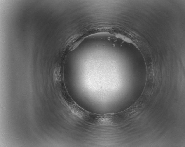 X0000060560560200511070950